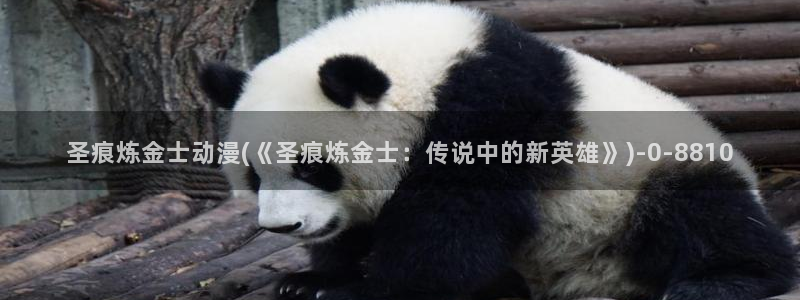 后宫动漫：圣痕炼金士动漫(《圣痕炼金士：传说中的新英雄》)