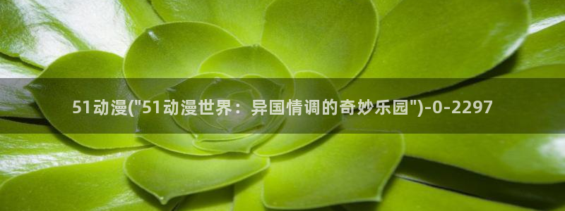 51动漫