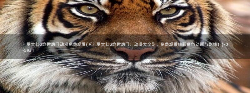动漫角色