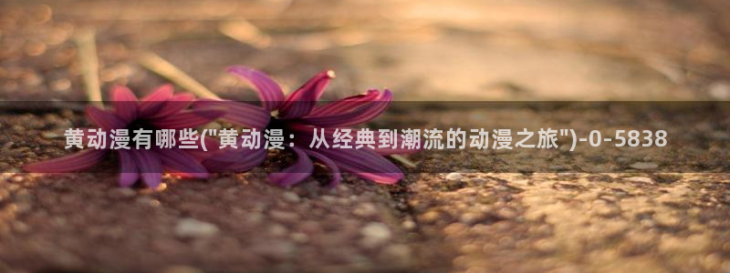 伦理动漫