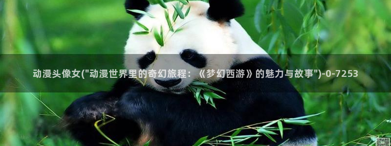 动漫日记