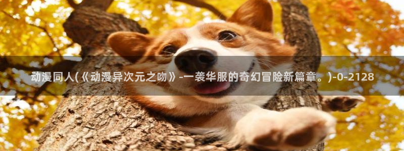 高达动漫